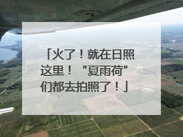 火了！就在日照这里！“夏雨荷”们都去拍照了！