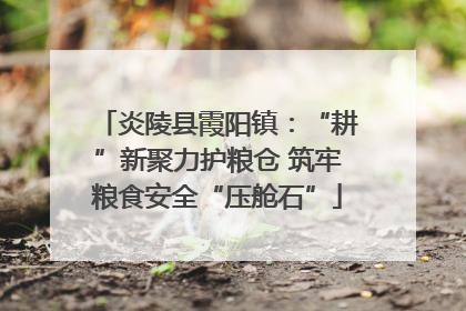 炎陵县霞阳镇：“耕”新聚力护粮仓 筑牢粮食安全“压舱石”