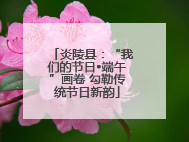 炎陵县：“我们的节日•端午”画卷 勾勒传统节日新韵