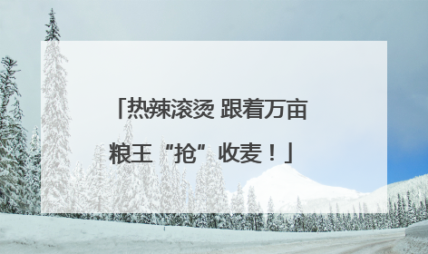 热辣滚烫 跟着万亩粮王“抢”收麦！