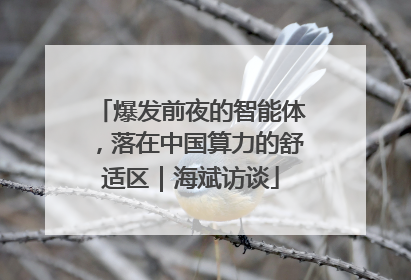 爆发前夜的智能体，落在中国算力的舒适区｜海斌访谈