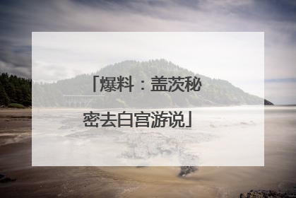 爆料：盖茨秘密去白宫游说