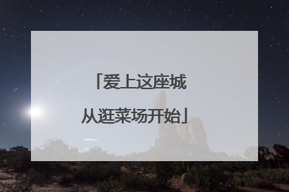 爱上这座城 从逛菜场开始