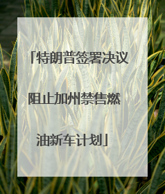 特朗普签署决议 阻止加州禁售燃油新车计划