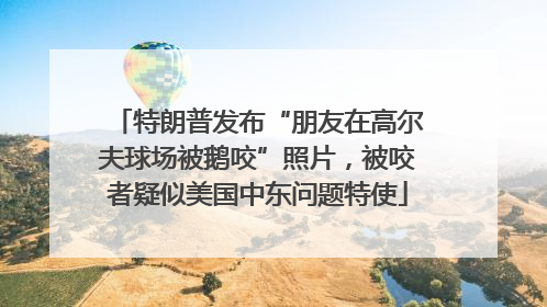 特朗普发布“朋友在高尔夫球场被鹅咬”照片，被咬者疑似美国中东问题特使