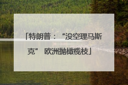 特朗普：“没空理马斯克” 欧洲抛橄榄枝