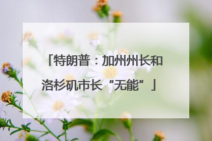 特朗普：加州州长和洛杉矶市长“无能”