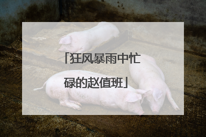 狂风暴雨中忙碌的赵值班