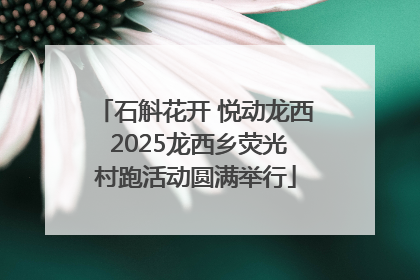 石斛花开 悦动龙西 2025龙西乡荧光村跑活动圆满举行