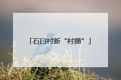 石臼村新“村播”