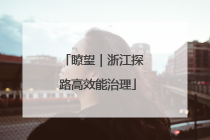 瞭望｜浙江探路高效能治理