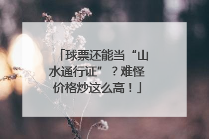 球票还能当“山水通行证”？难怪价格炒这么高！