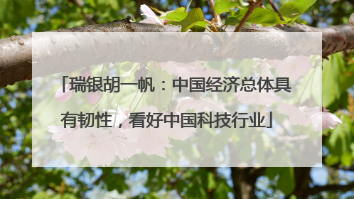 瑞银胡一帆：中国经济总体具有韧性，看好中国科技行业