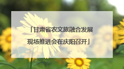 甘肃省农文旅融合发展现场推进会在庆阳召开