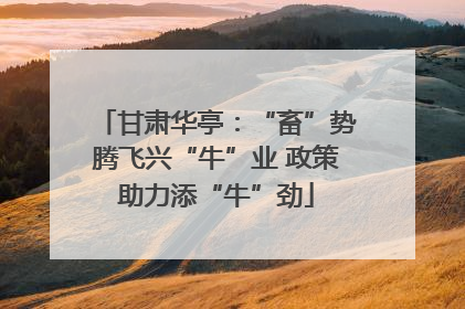 甘肃华亭：“畜”势腾飞兴“牛”业 政策助力添“牛”劲