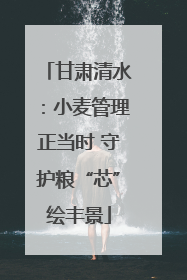 甘肃清水：小麦管理正当时 守护粮“芯”绘丰景