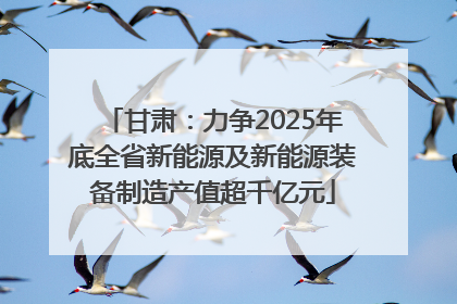 甘肃：力争2025年底全省新能源及新能源装备制造产值超千亿元
