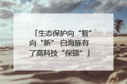 生态保护向“智”向“新” 白海豚有了高科技“保镖”