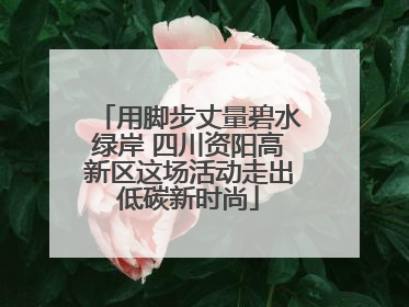 用脚步丈量碧水绿岸 四川资阳高新区这场活动走出低碳新时尚