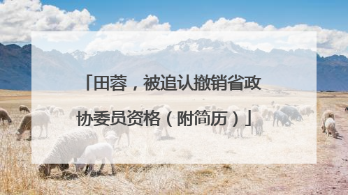 田蓉，被追认撤销省政协委员资格（附简历）
