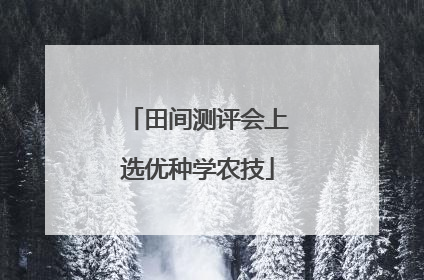 田间测评会上选优种学农技