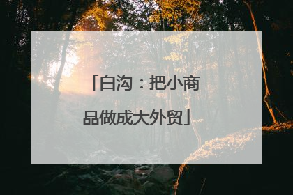 白沟：把小商品做成大外贸