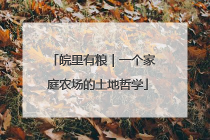 皖里有粮｜一个家庭农场的土地哲学