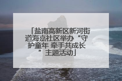 盐南高新区新河街道海嘉社区举办“守护童年 牵手共成长”主题活动