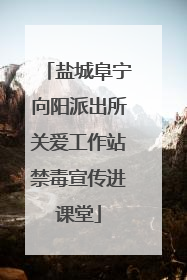 盐城阜宁向阳派出所关爱工作站禁毒宣传进课堂
