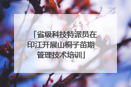 省级科技特派员在印江开展山桐子苗期管理技术培训