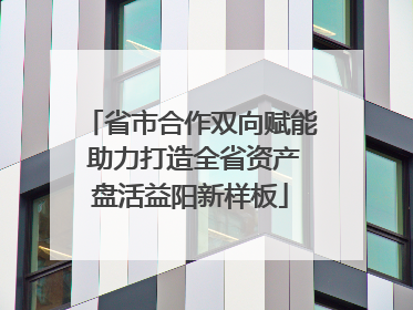 省市合作双向赋能 助力打造全省资产盘活益阳新样板