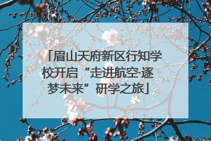 眉山天府新区行知学校开启“走进航空·逐梦未来”研学之旅