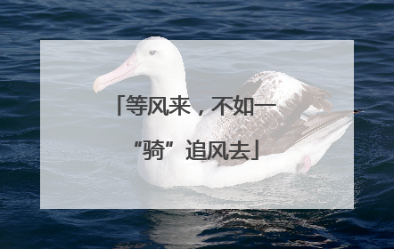 等风来，不如一“骑”追风去