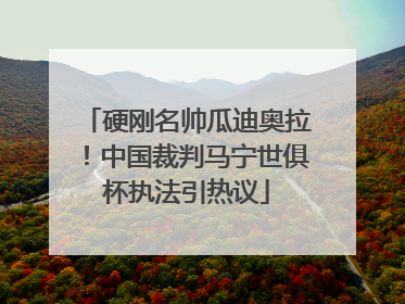 硬刚名帅瓜迪奥拉！中国裁判马宁世俱杯执法引热议
