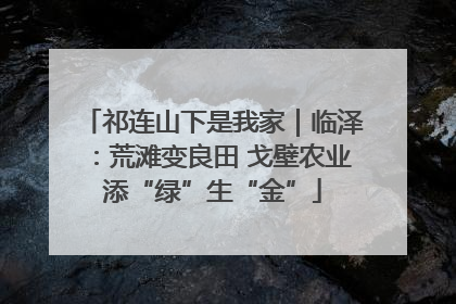 祁连山下是我家｜临泽：荒滩变良田 戈壁农业添“绿”生“金”