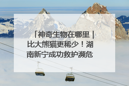 神奇生物在哪里｜比大熊猫更稀少！湖南新宁成功救护濒危鸟类海南鳽