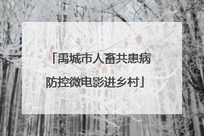 禹城市人畜共患病防控微电影进乡村