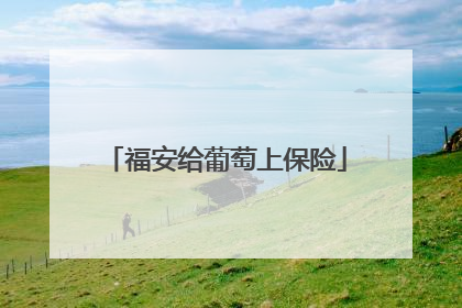 福安给葡萄上保险