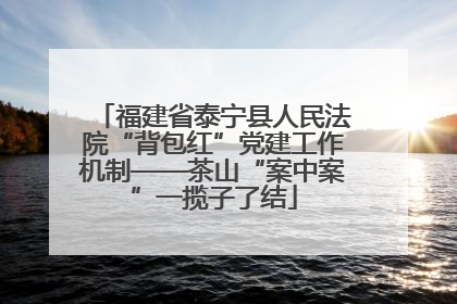 福建省泰宁县人民法院“背包红”党建工作机制——茶山“案中案”一揽子了结