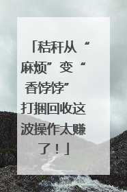 秸秆从“麻烦”变“香饽饽” 打捆回收这波操作太赚了！