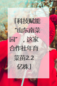 科技赋能“山东南菜园”，这家合作社年育菜苗2.2亿株