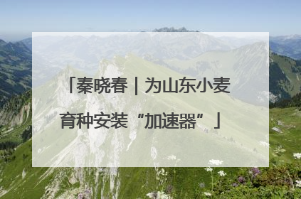 秦晓春｜为山东小麦育种安装“加速器”
