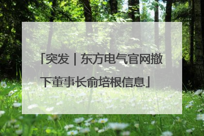 突发｜东方电气官网撤下董事长俞培根信息