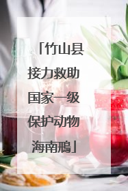 竹山县接力救助国家一级保护动物海南鳽