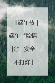 端午节｜端午“粽情长” 安全不打烊
