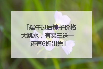 端午过后粽子价格大跳水，有买三送一还有6折出售