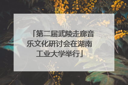 第二届武陵走廊音乐文化研讨会在湖南工业大学举行