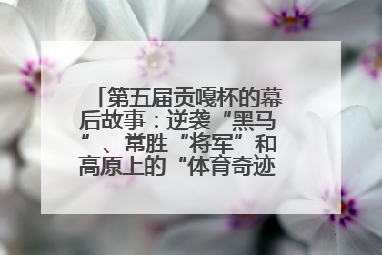 第五届贡嘎杯的幕后故事：逆袭“黑马”、常胜“将军”和高原上的“体育奇迹”丨微纪录