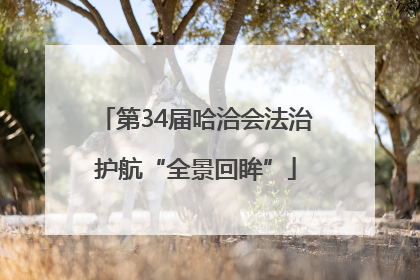第34届哈洽会法治护航“全景回眸”
