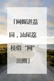 网媒进荔园，汕尾荔枝借“网”出圈